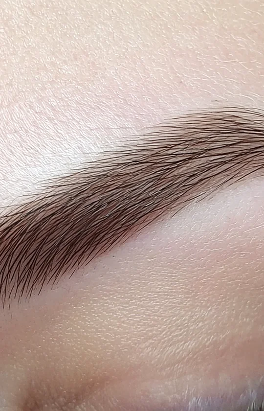 Microblading Eyebrows